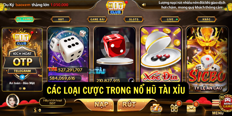 Các loại cược trong nổ hũ tài xỉu Các loại cược trong nổ hũ tài xỉu